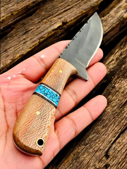 3.5" D2 Steel Western Knife – Lacewood & Turquoise Handle