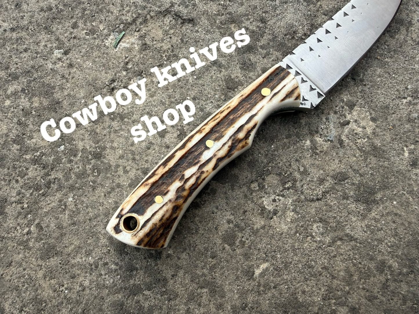 Deer Skinny Knife – 3.6" Rasp File Steel Blade with Antler Horn Handle
