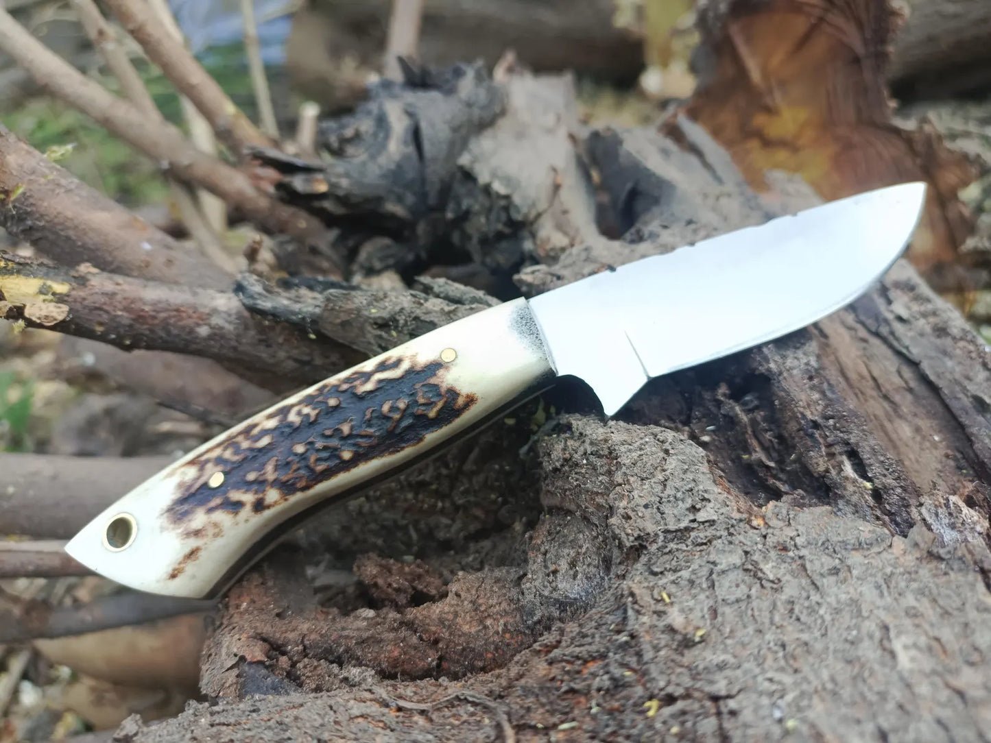 Custom Skinner Knife/Hunting/Skinner/ Stag & Antler Handle