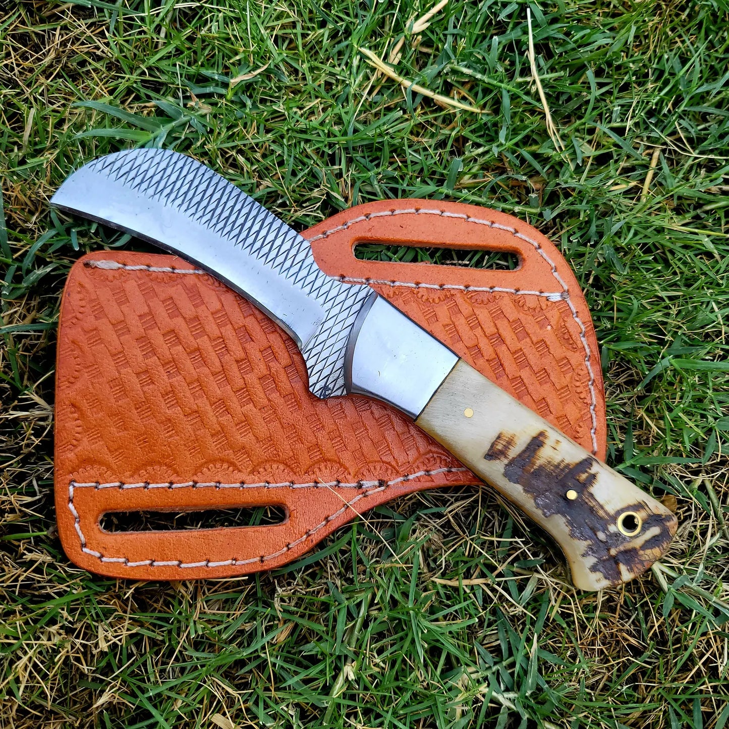 Feriorr rasp hawkbill knife with Ram horn handle and cross draw leather sheath, gift for him , gift for dad